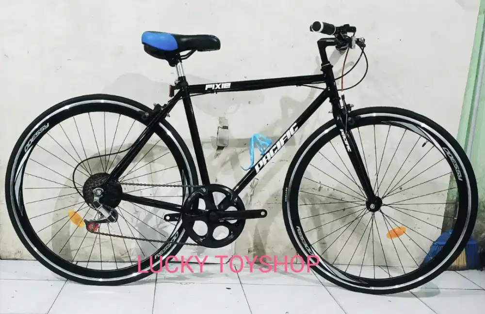 Sepeda Fixie Dryer