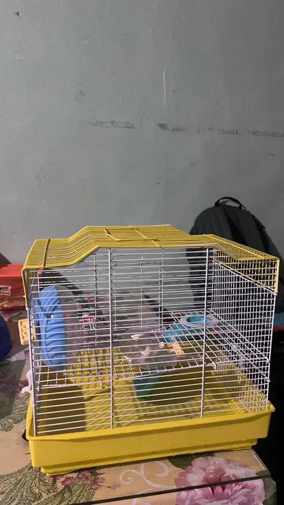 kandang hamster
