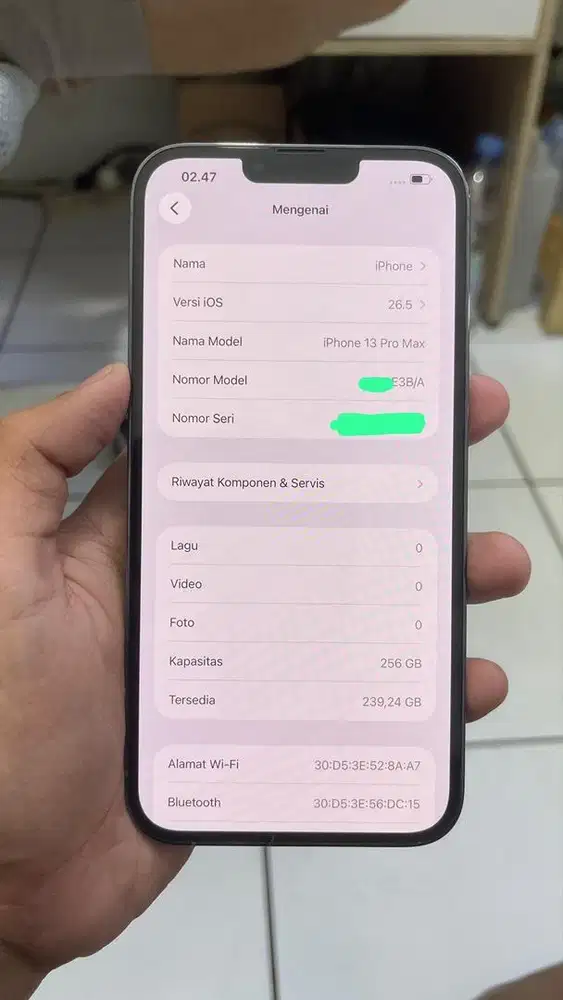 iPhone 13 Pro Max 256 Gb