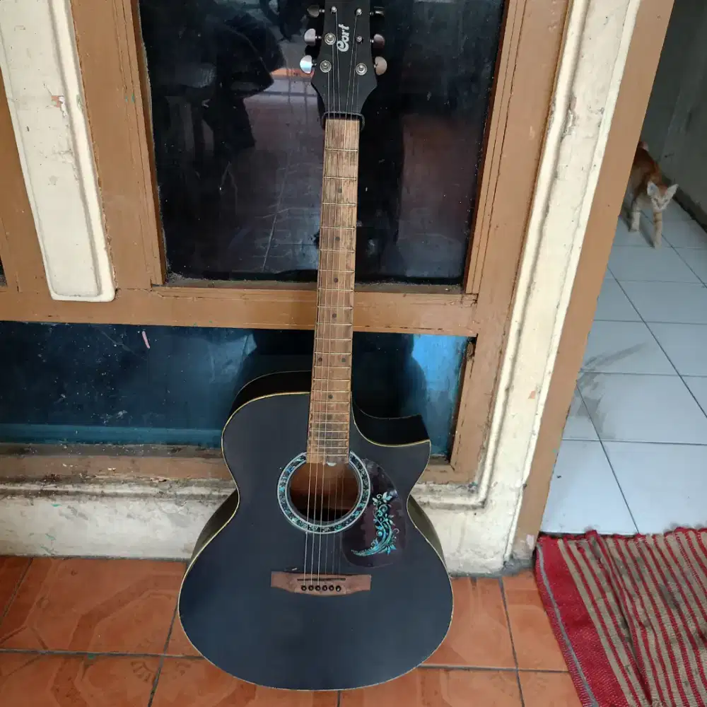 Gitar cort masih lumayan bagus