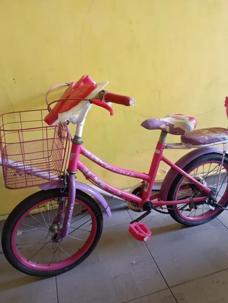 Sepeda anak perempuan