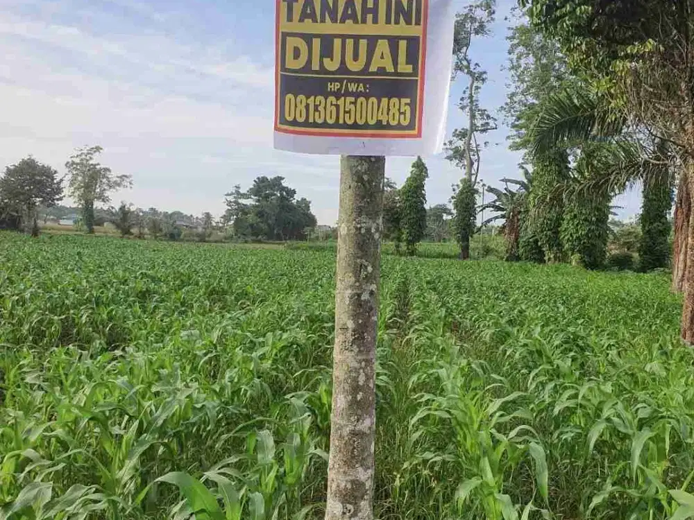 DIJUAL TANAH SUMBER JAYA SIANTAR