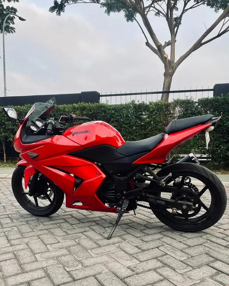 Kawasaki Ninja 250