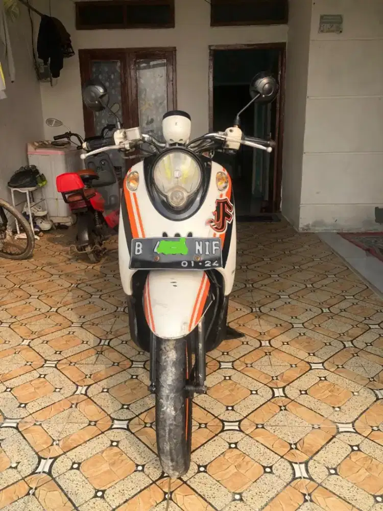 Fino putih 2013