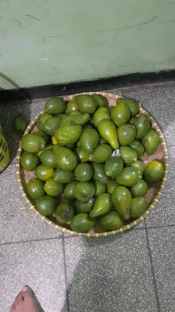 Alpukat mentega