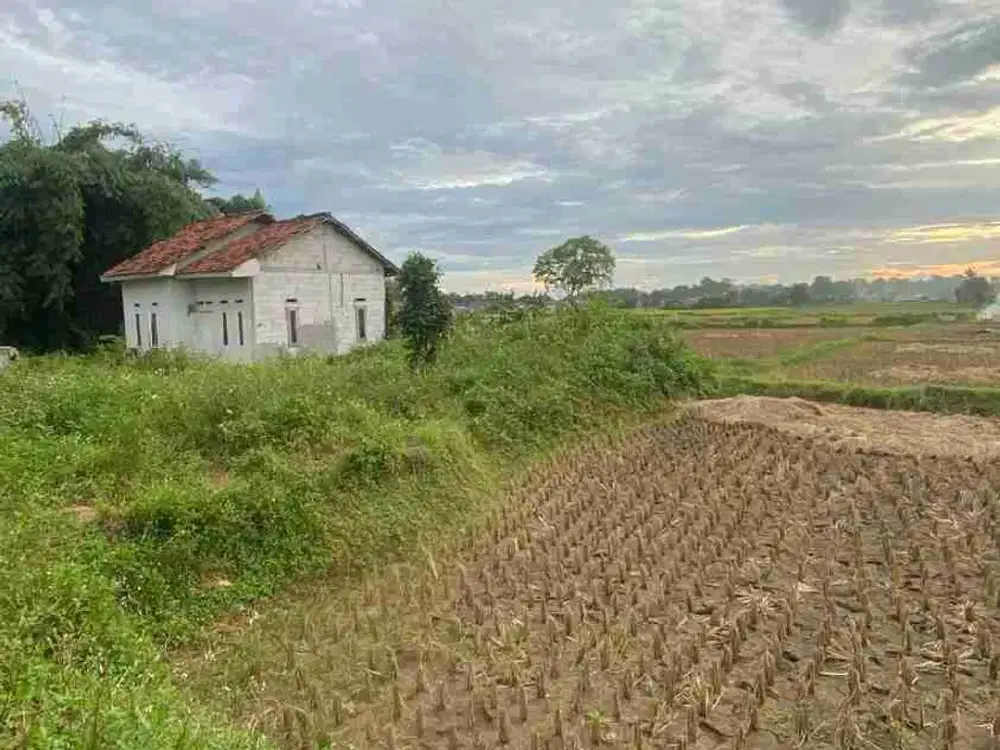 DIJUAL TANAH PADAT SAWAH DI LEGOK, TANGERANG SHM HADAP TIMUR
