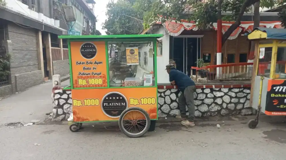 Bola Ayam Platinum