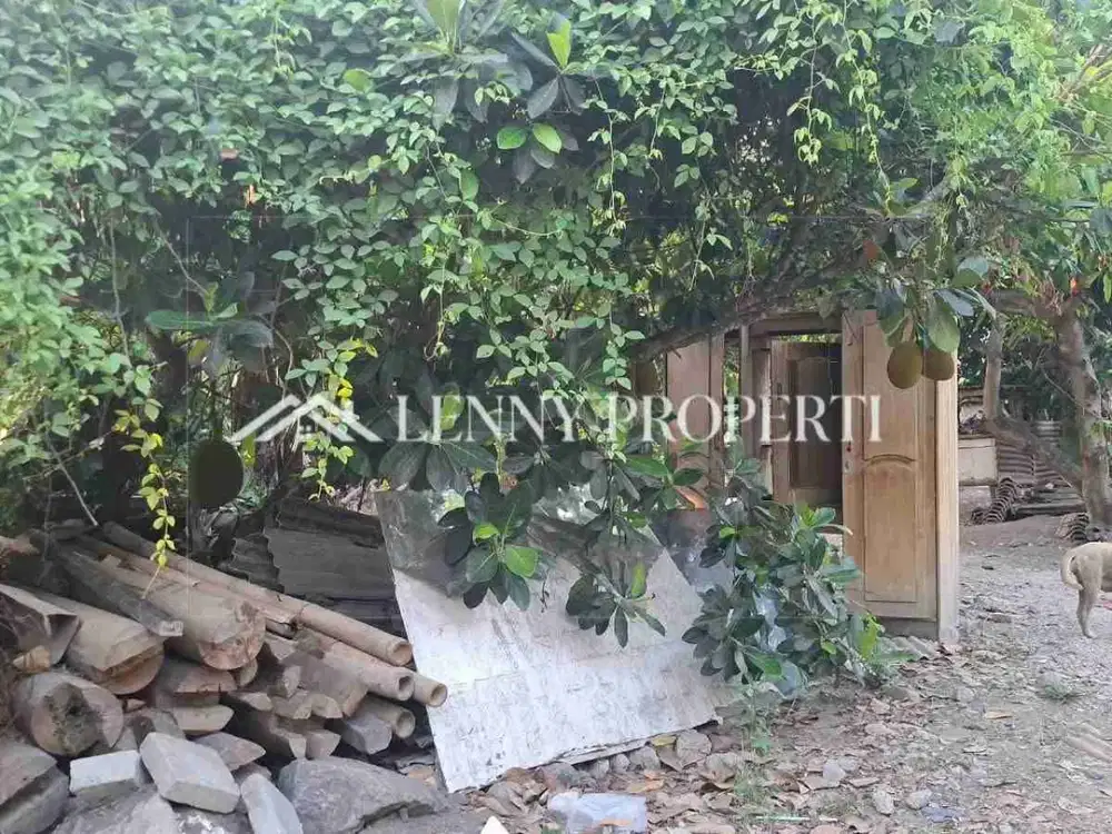5 are Vacant Land in Westside Sanur for Leasehold