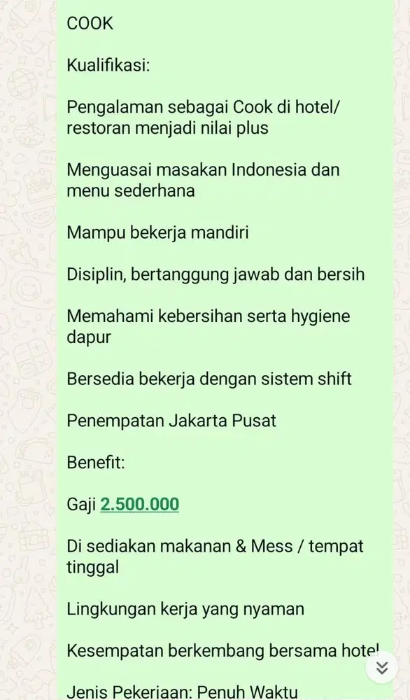 Cook / juru masak