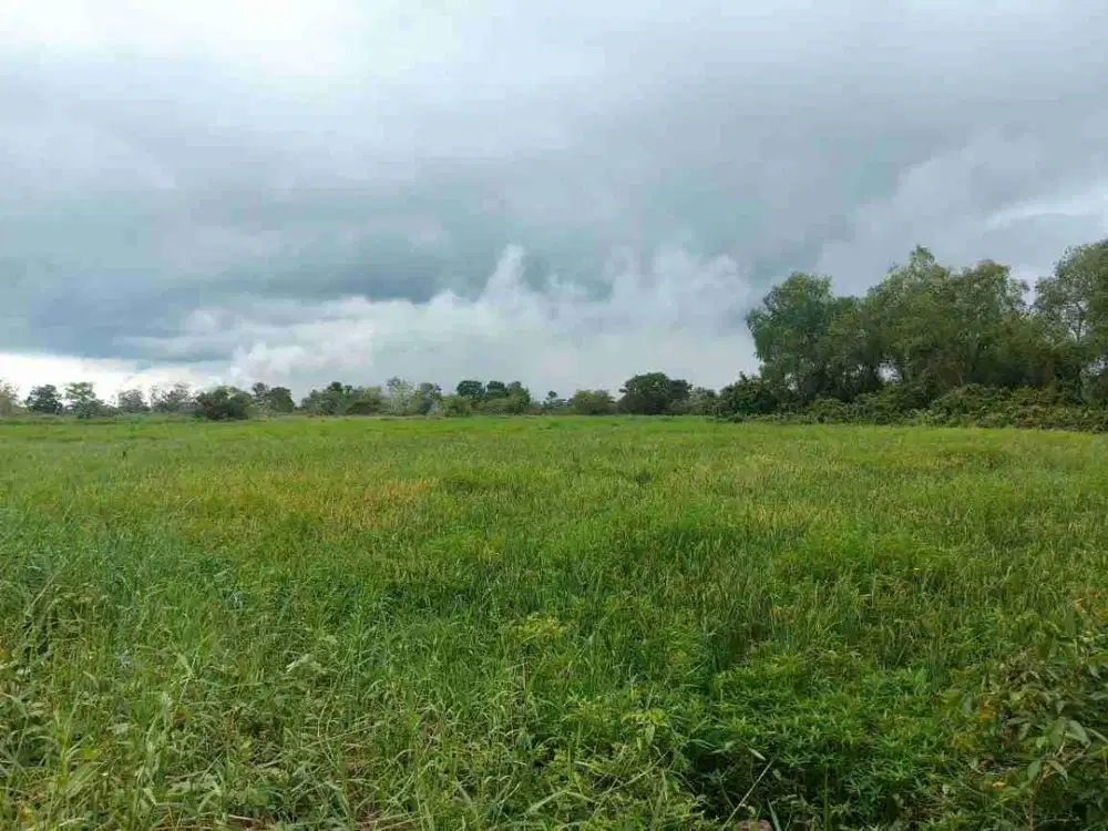 Dijual tanah luas 31 hektar di jalan Tanjung Api Api desa Parit 9 Sumbee Marga ,Banyuasin Sumatera Selatan