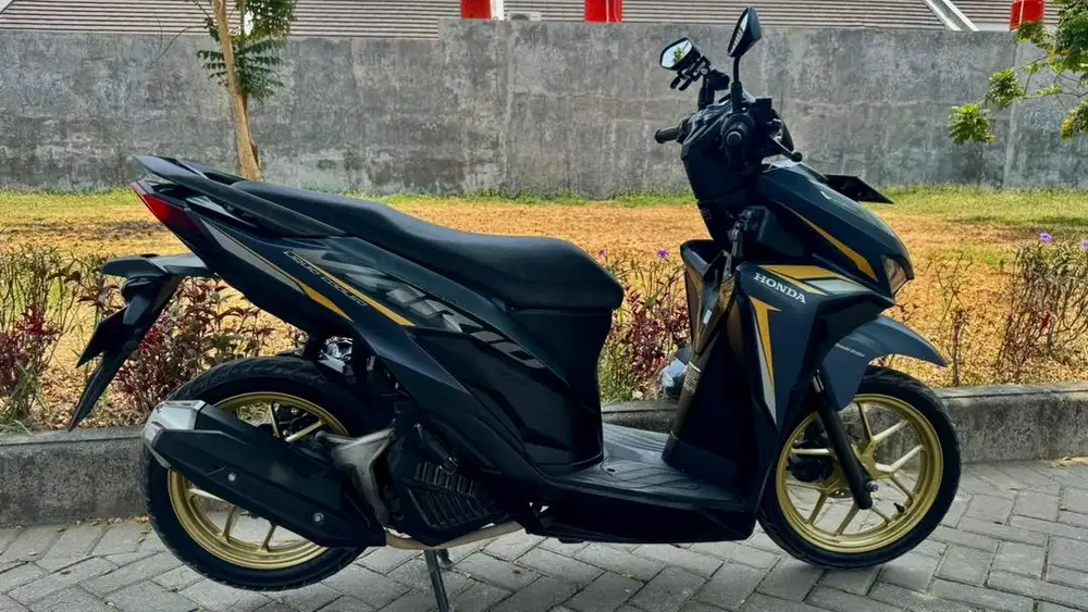 DIJUAL Vario SE 2021
