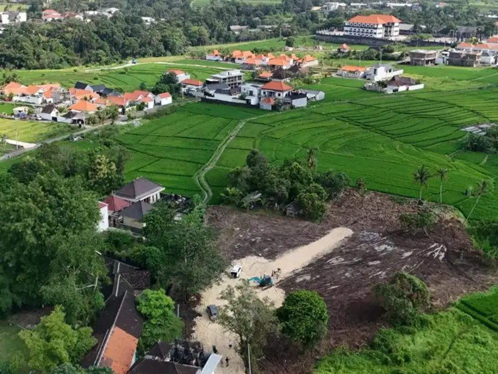Tanah view sawah cemangi mengwi
