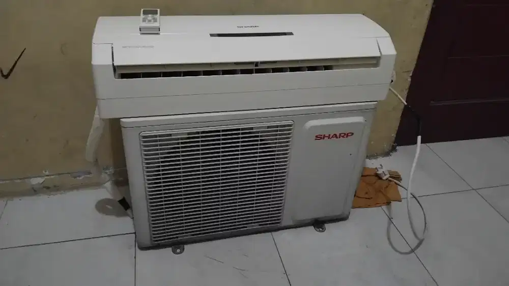 Ac sharp 1/2 pk