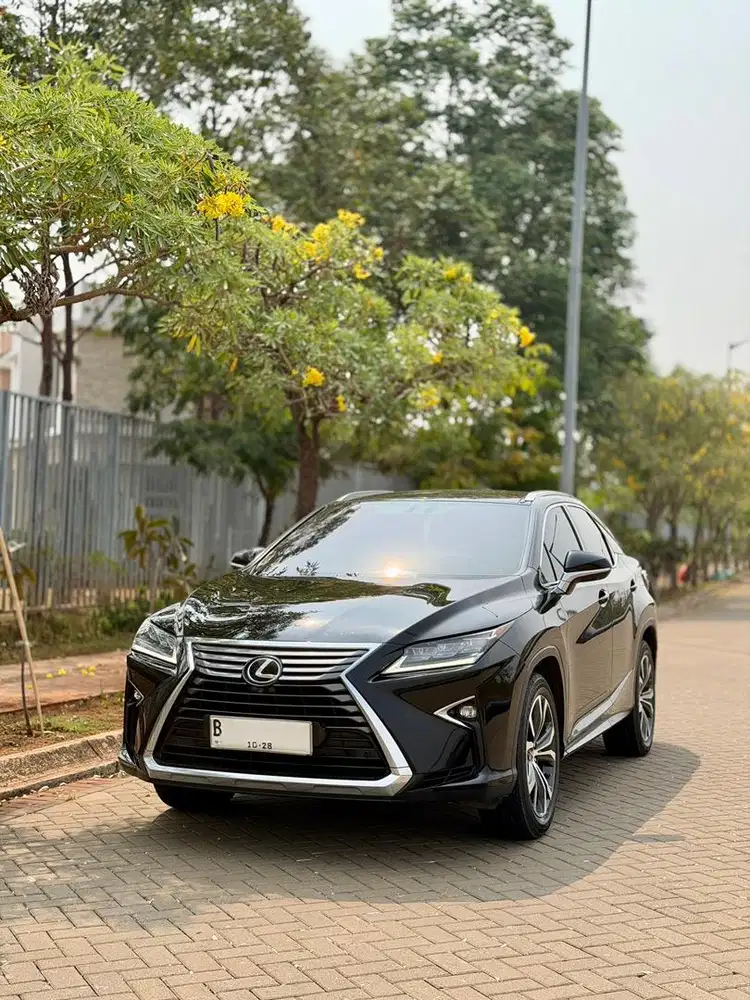 Lexus RX300 Luxury