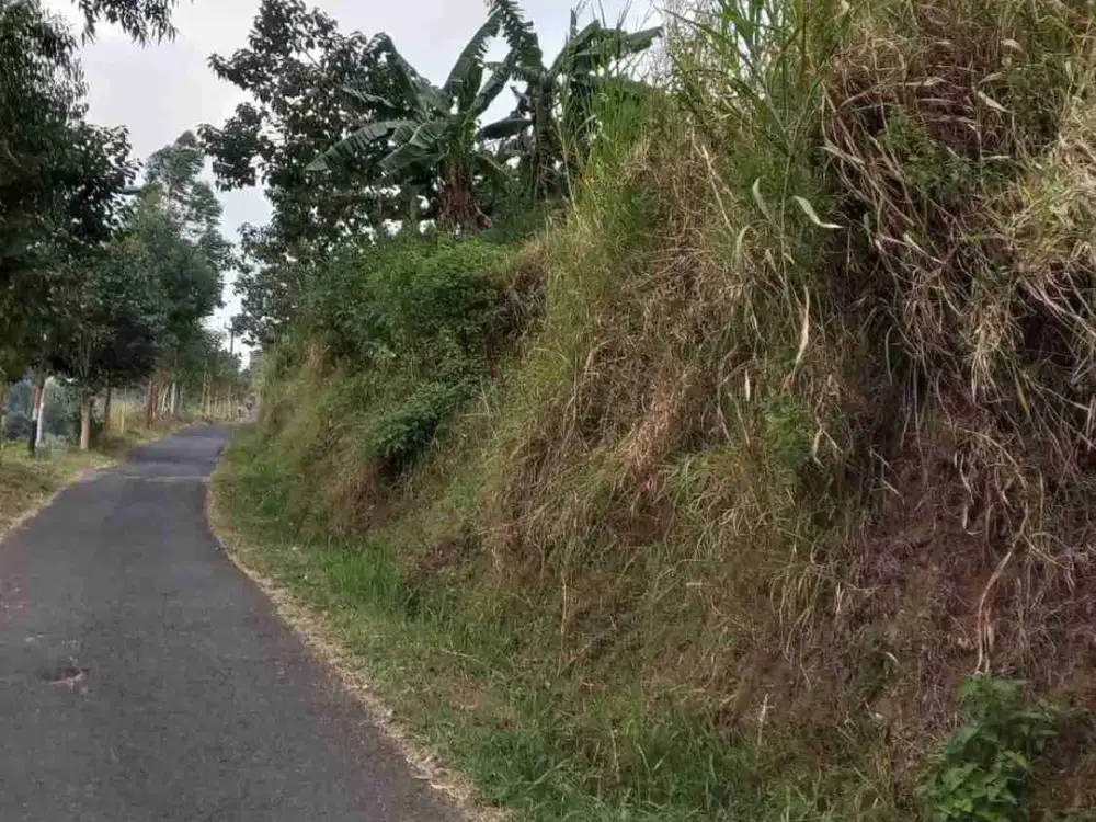 Jl Raya Bojong Koneng Atas, Cibeunying, Cimenyan, Kab Bandung. Tanah Kavling Dijual pas Pinggir Jalan