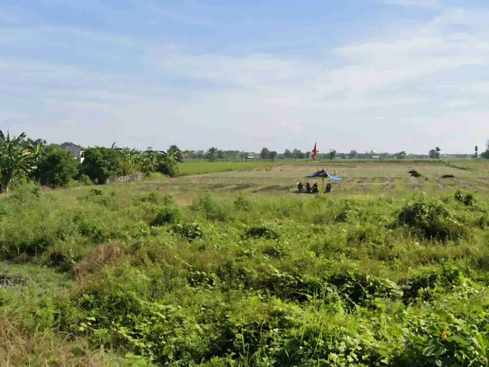 TANAH AREA INDUSTRI SANGAT STRATEGIS NOL JALAN RAYA GENDING PROBOLINGGO