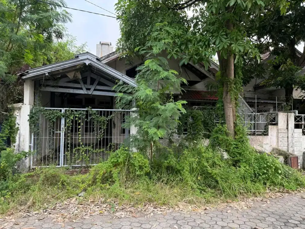 wiyung