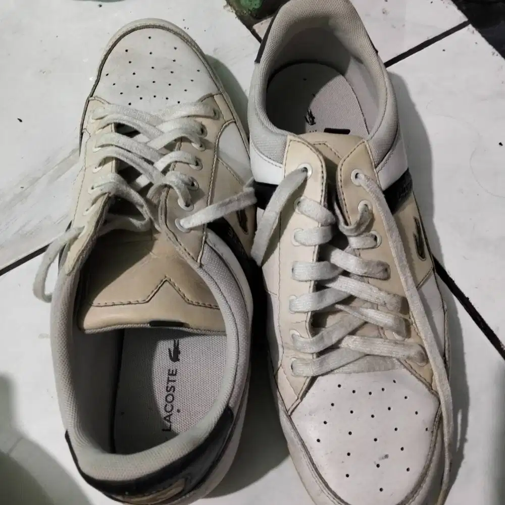 Sepatu Lacoste ORI tanpa box
