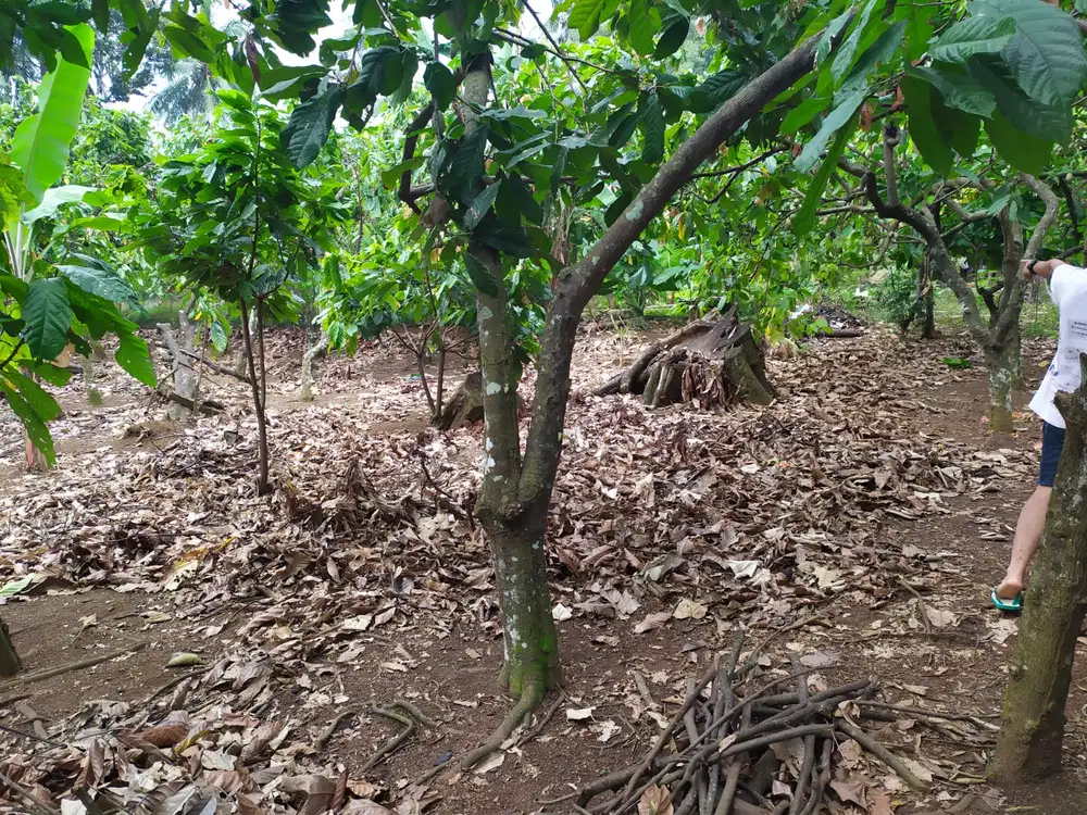 CARI YANG SERIUS! DIJUAL TANAH UKURAN 4800m² (baca deskripsi)