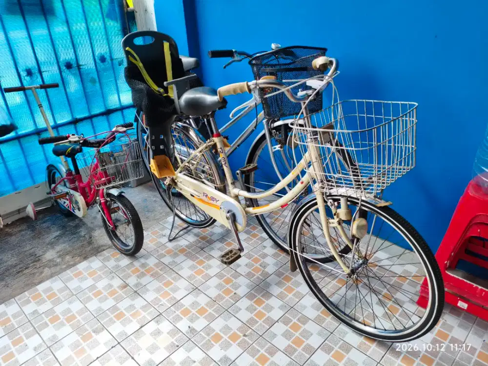 Sepeda original (jepang Japan klasik Bridgestone Rosy 24) City Vintage