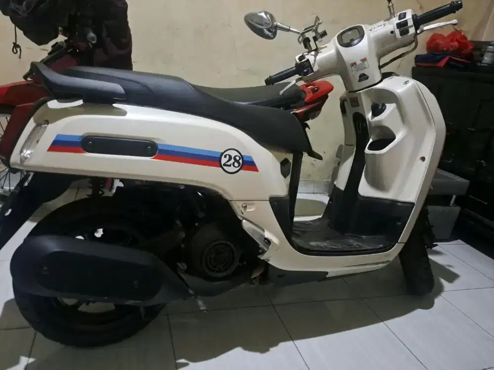 Dijual fazzio luxury 2023