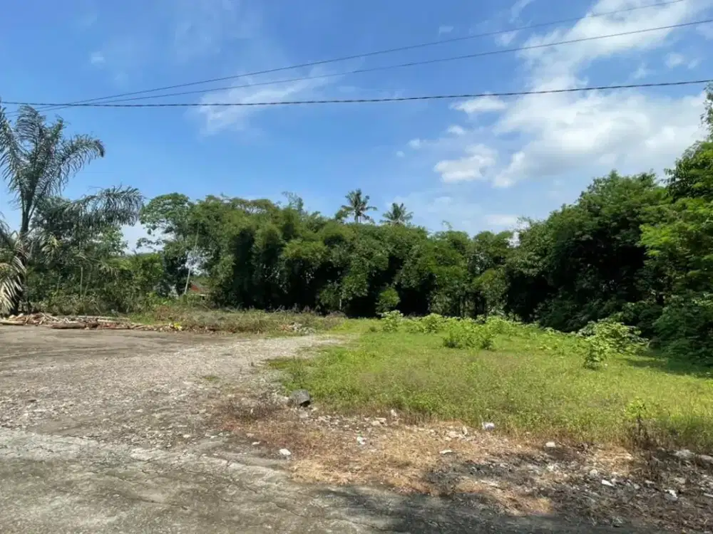 Tanah Murah Palagan Dekat Lapangan Donoharjo, Bisa Dicicil Tanpa Bunga