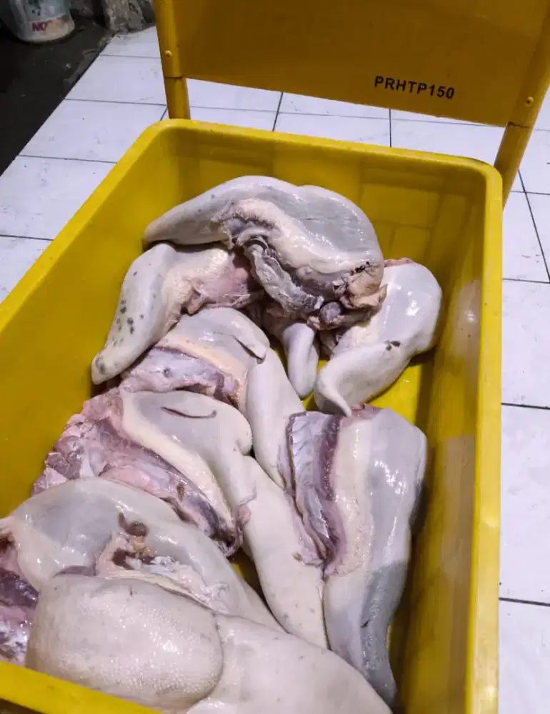Lidah Sapi Super