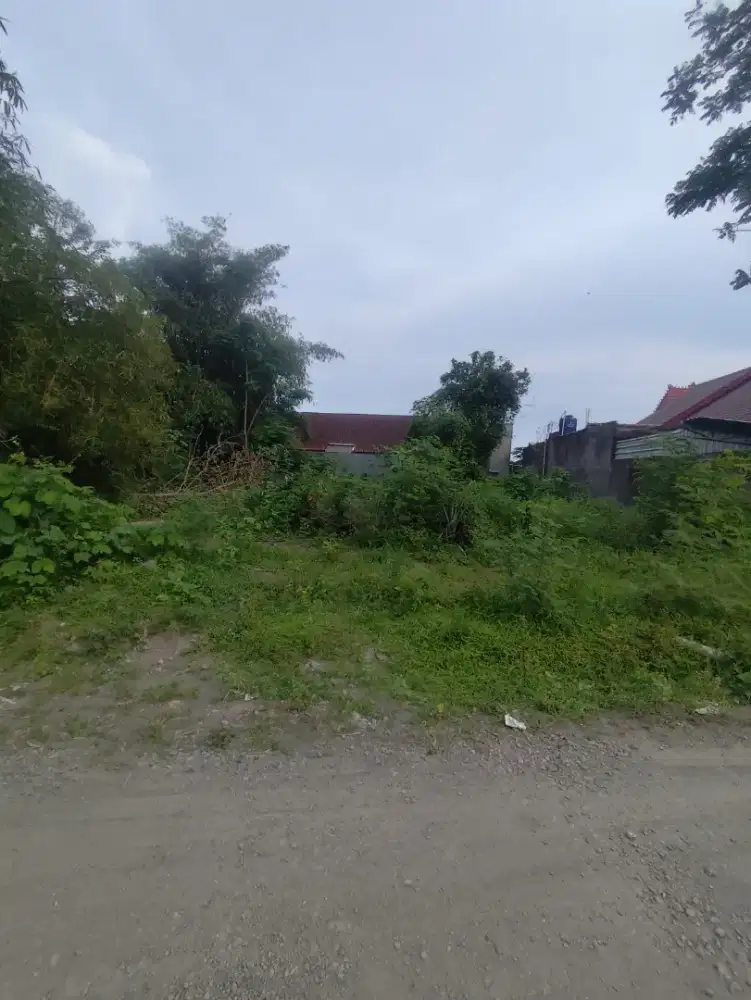 Tanah Murah Di kalasan