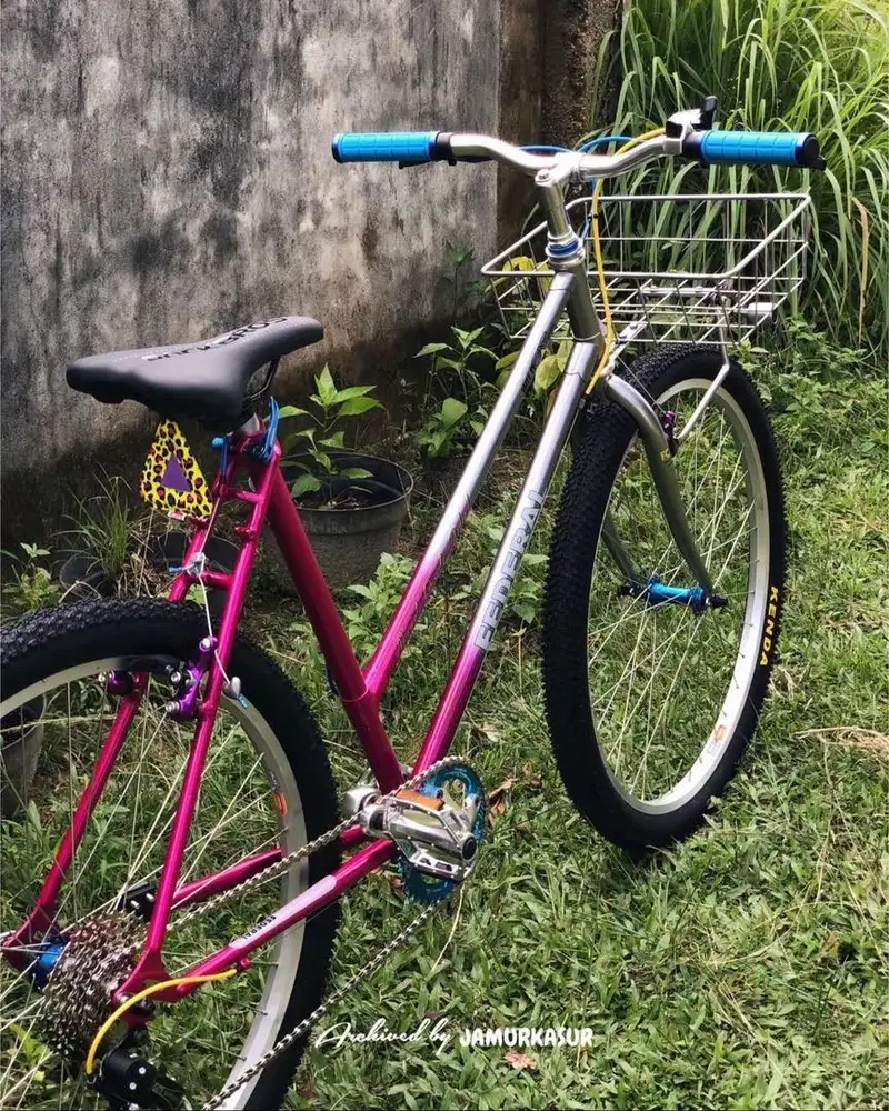 JUAL SEPEDA PHOENIX LADY CUSTOM FIT TO 26!