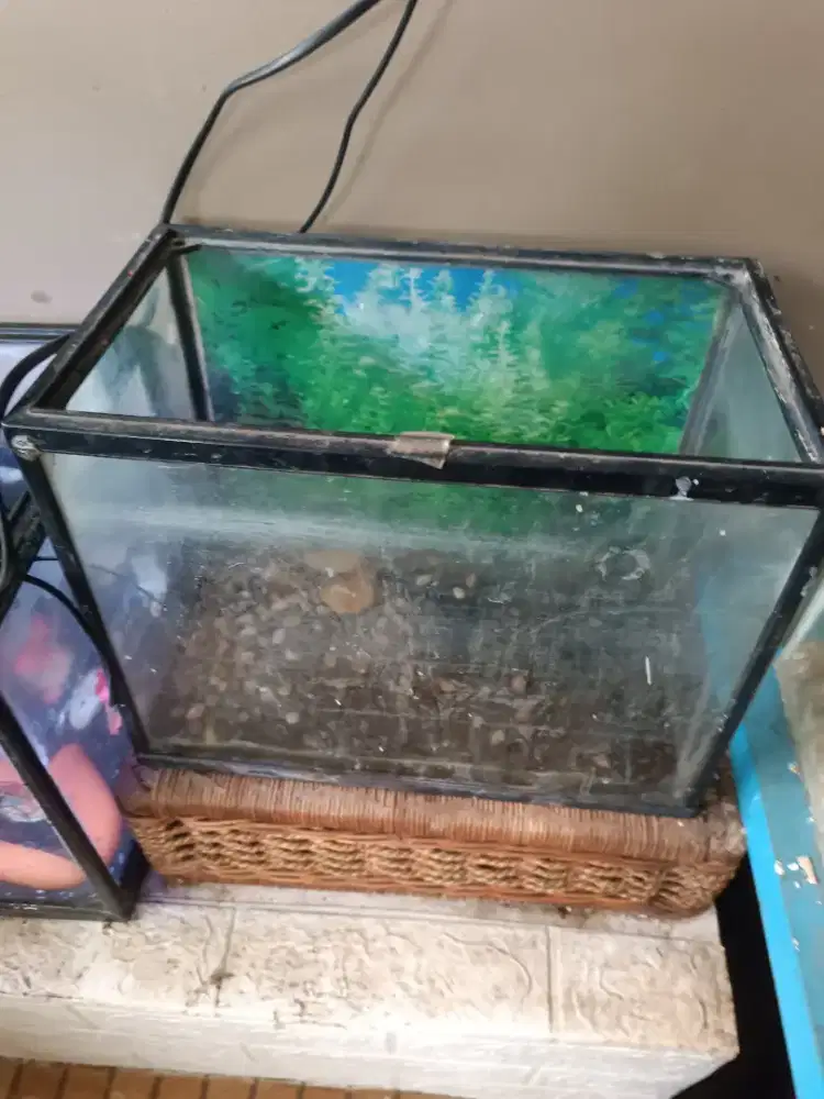 Jual Aquarium  Murah