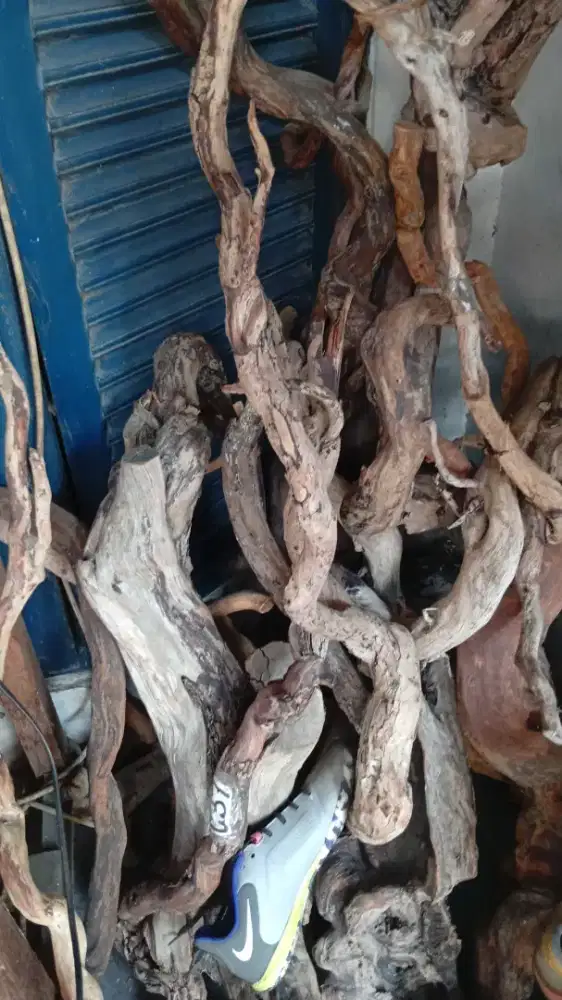 KAYU SANTIGI LAUT KAYU TENGGELAM HIASAN AQUARIUM KAYU AQUASCAPE
