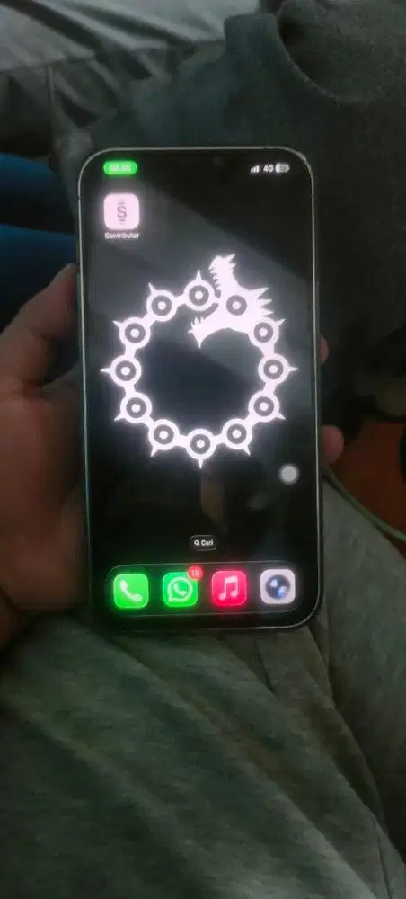 IPHONE 12 promax inter