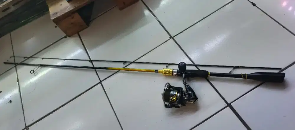 Joran casting ikan