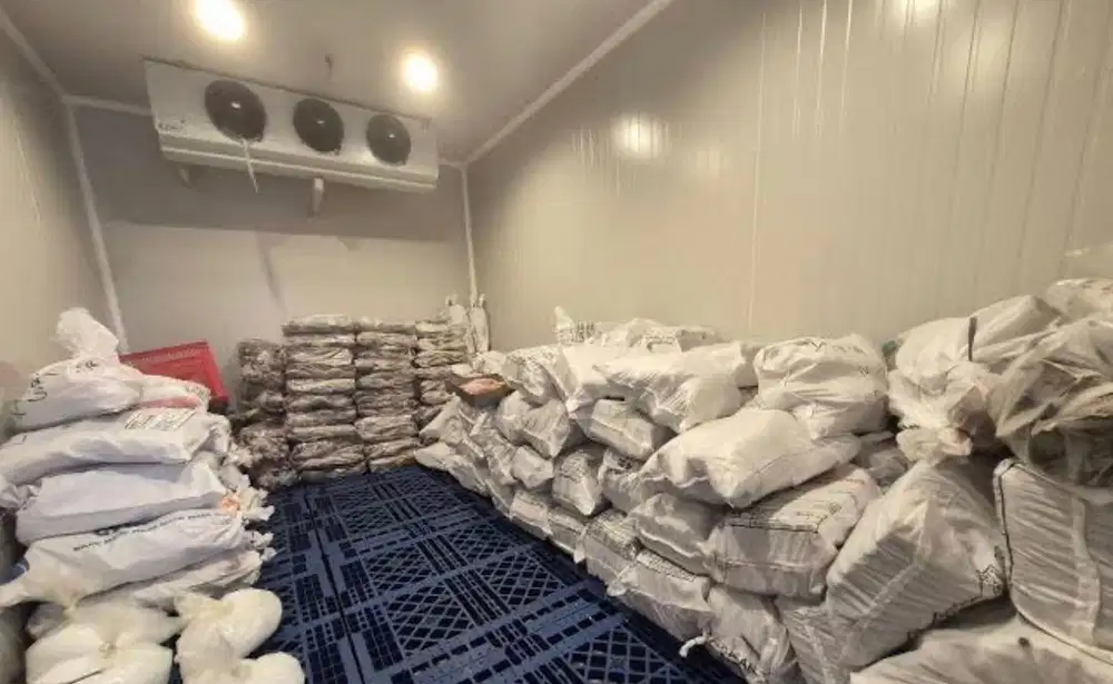 Di cari kenek bongkar muat untuk gudang beku