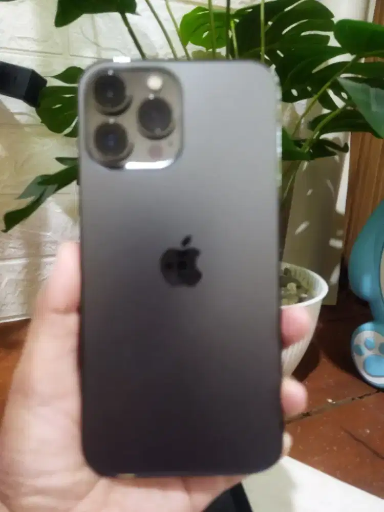 Iphone 13 promax/second 256/mulus