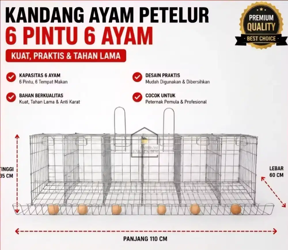 Kandang Ayam Petelur Galvanis