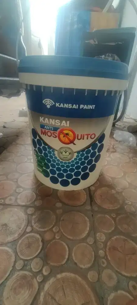 Cat Interior Exterior Kansai Paint