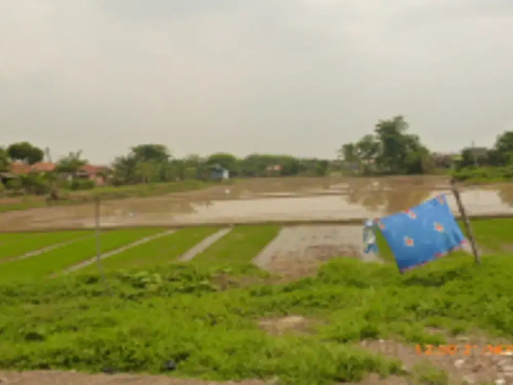 Lahan Dijual Cepat Di Jl. Raya Serang, Cikarang, Cibarusah