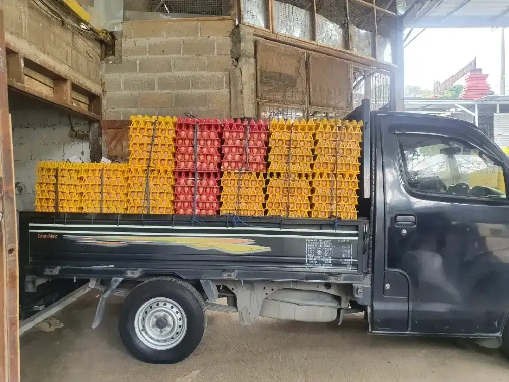 Supir mobil utk toko telur bisa manual dan automatic