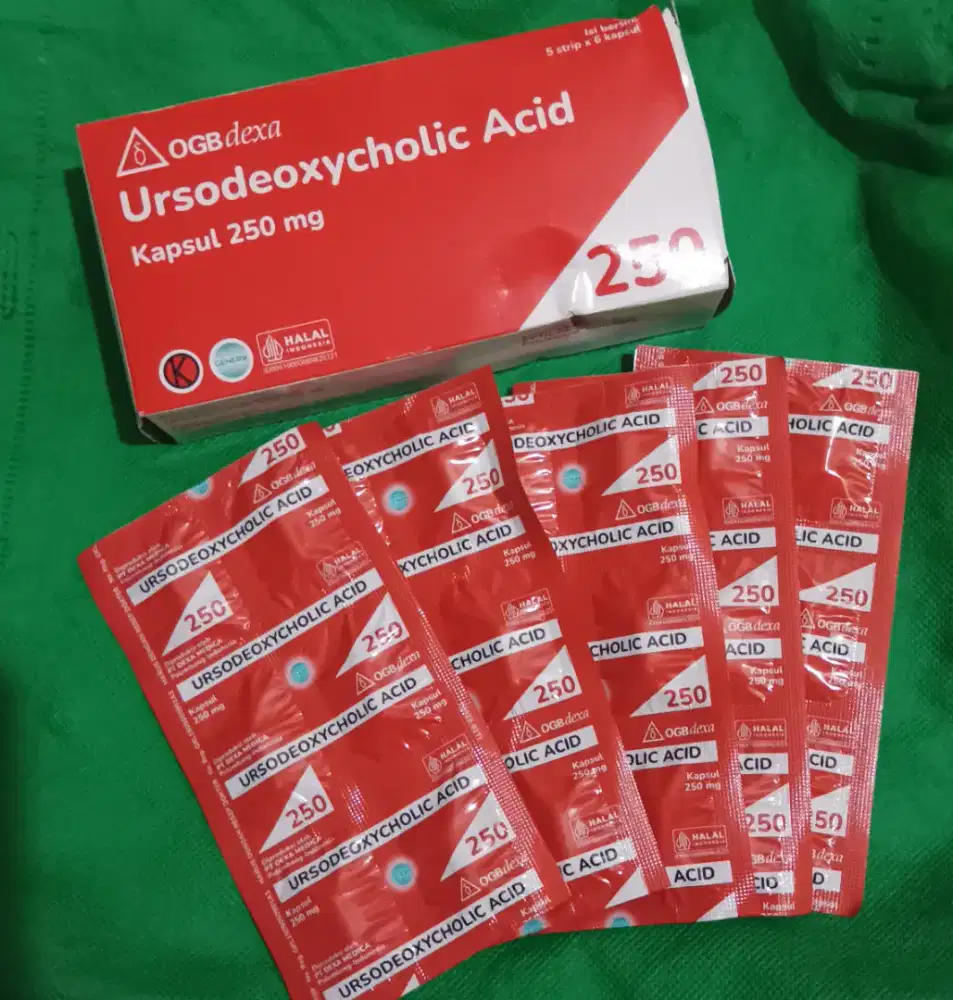 SUPLEMEN  URSODEOXYCHOLIC ACID KAPSUL 250 MG