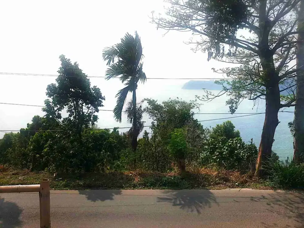 TANAH MURAH DI SISI JALAN UTAMA ANTAR KABUPATEN MUARA DUA LIWA COCOK BANGUN RUMAH ATAU TEMPAT USAHA LAIN