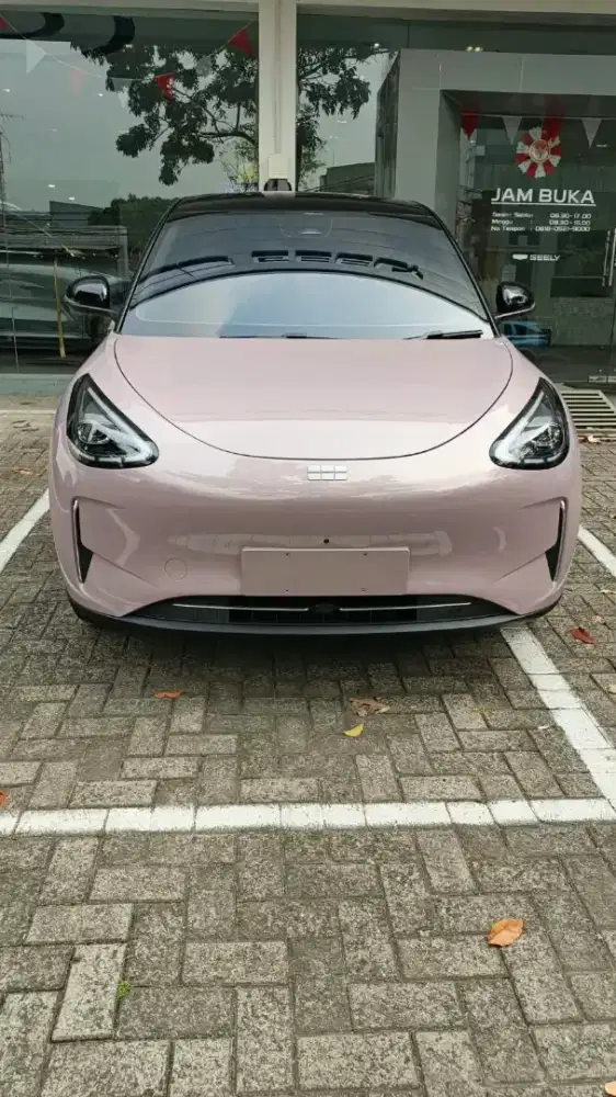 Geely EX 2 Maxx
