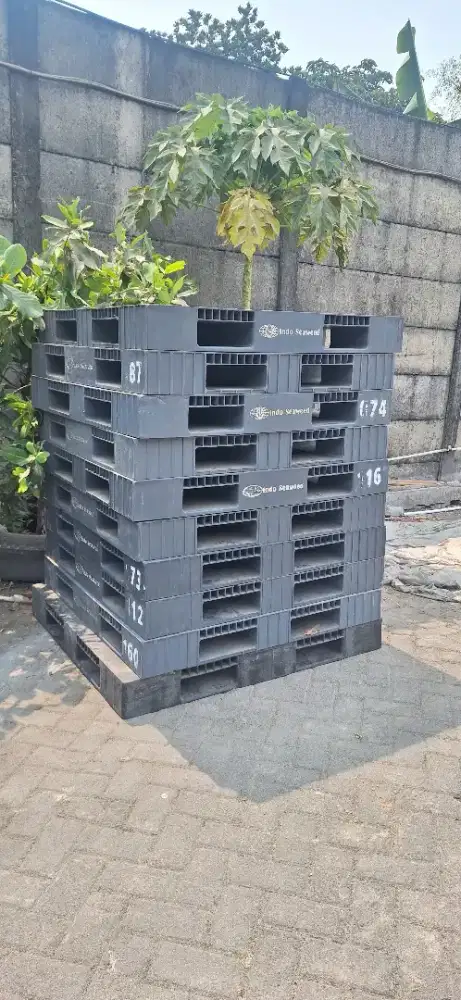 Pallet Plastik Second Like New Murah