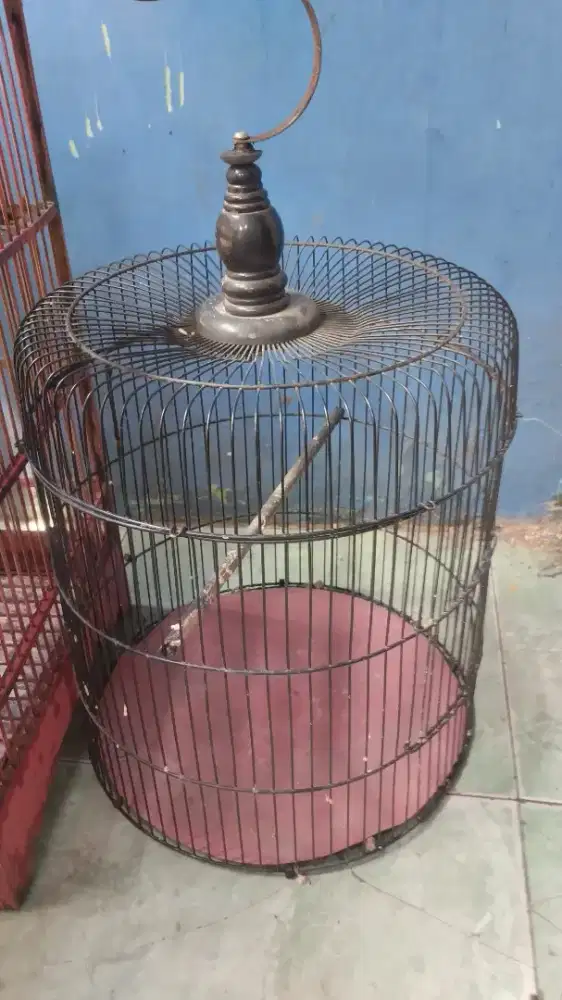 Kandang Lovebird tangung