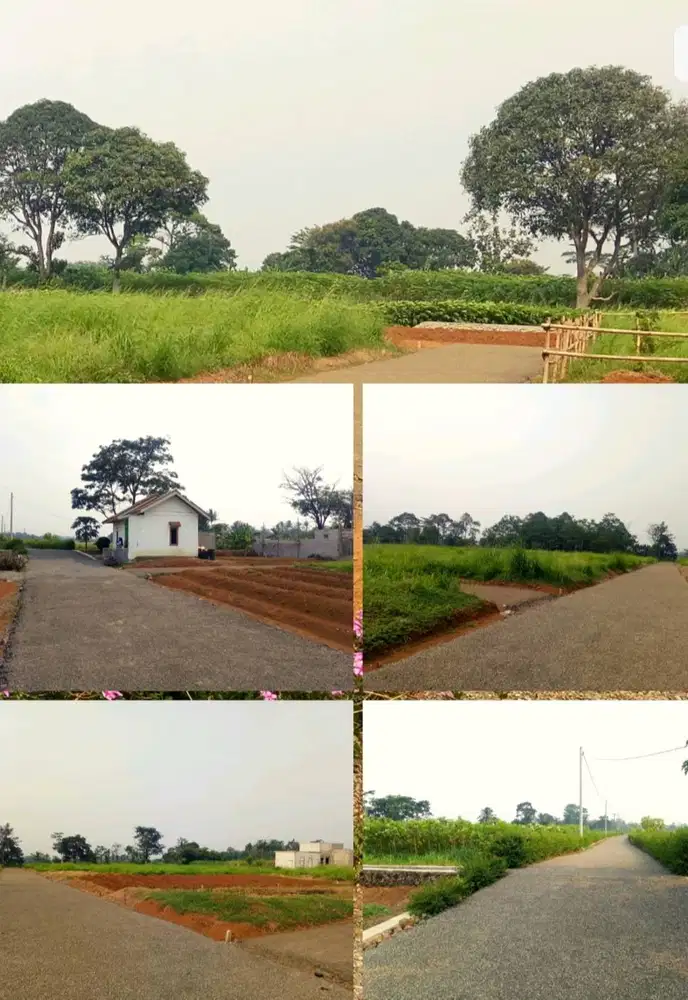 DIJUAL TANAH KAVLING MURAH DI BOGOR