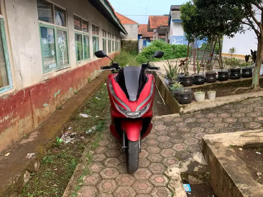 Pcx 2019 murah aja