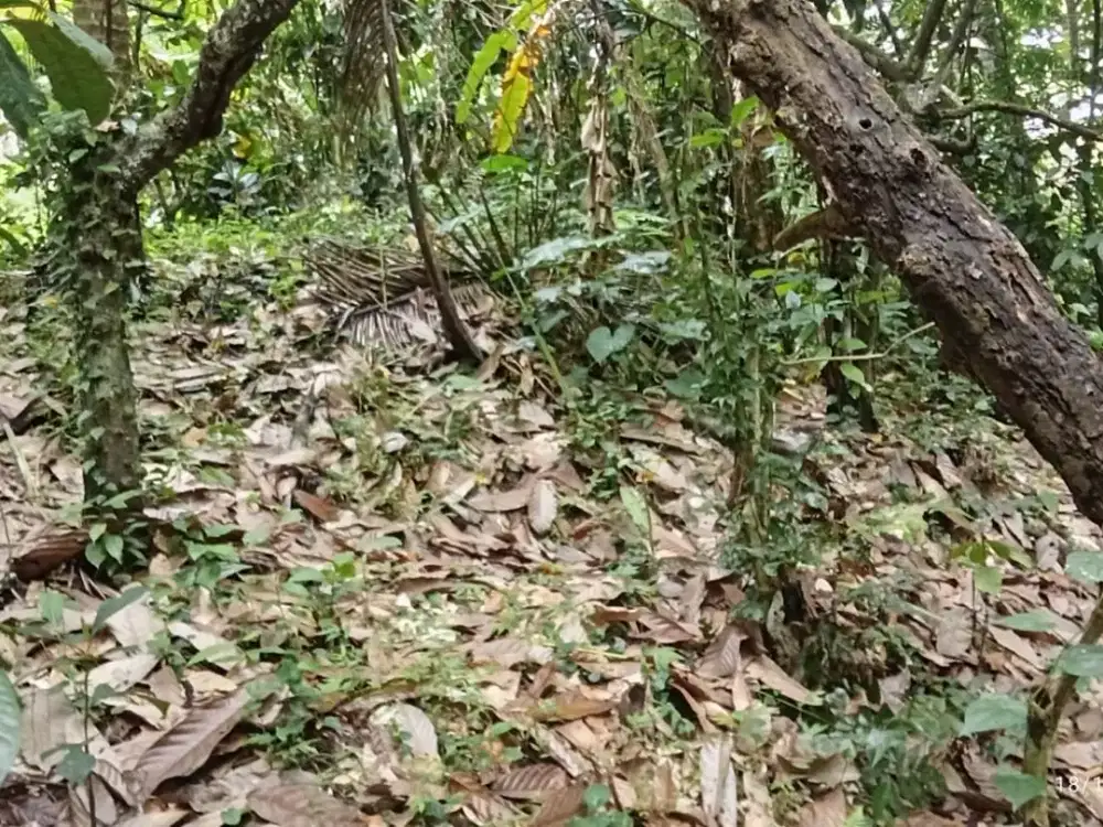 Dijual Tanah Lokasi Super Strategis Dekat Lokasi Ada Air Terjun