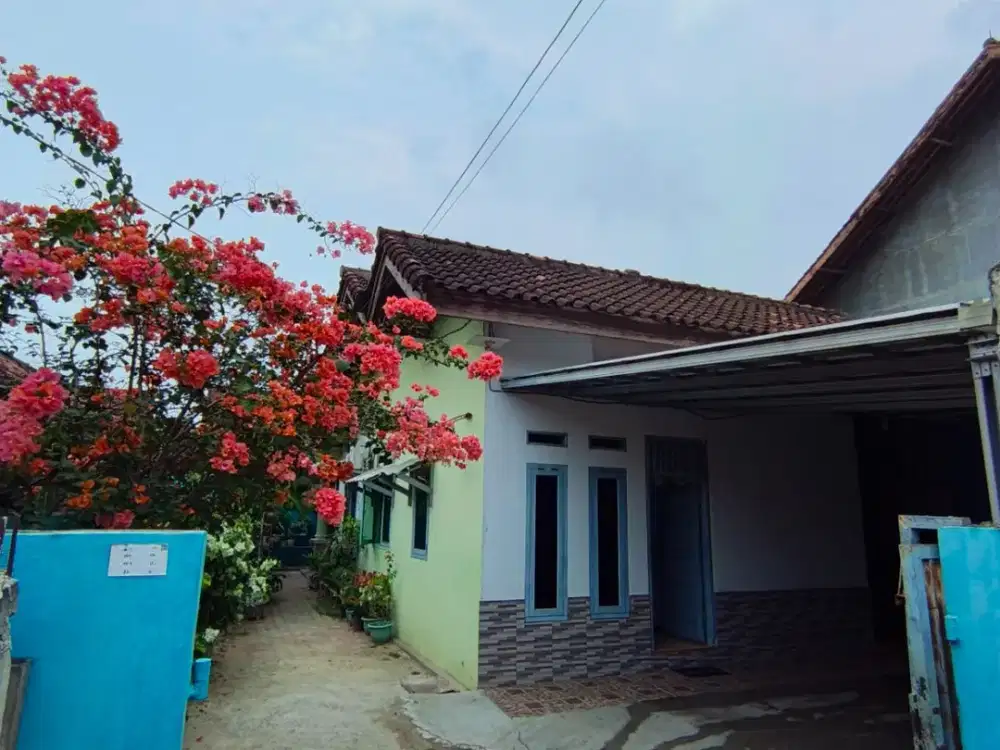 Rumah Luas dekat UIN