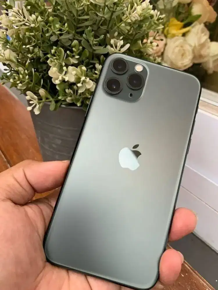 iPhone 11 Pro 256gb INTER