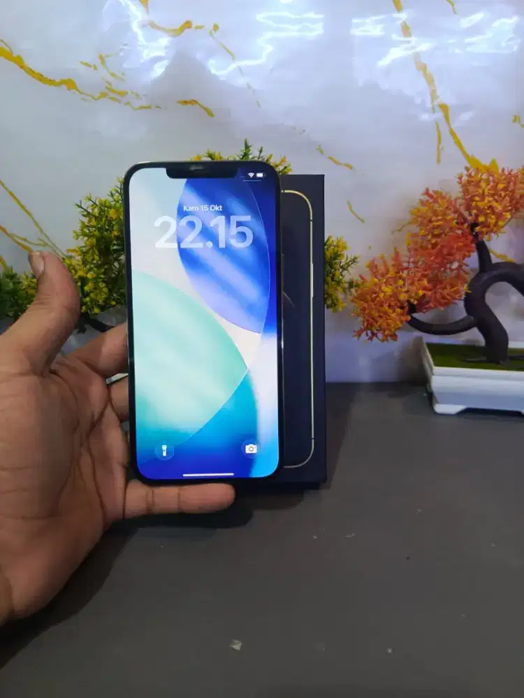 IPHONE 12 PROMAX  128GB INTER ALL OPERATOR NORMAL FULLSHETT